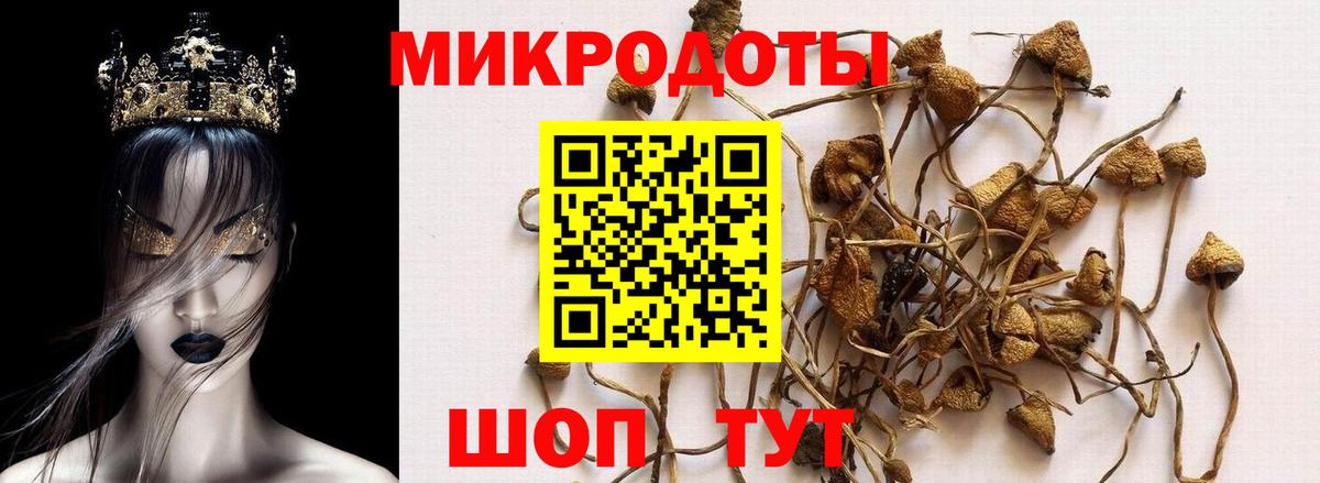 Псилоцибиновые грибы Psilocybe  Вход с VPN  где продают наркотики  Обь 
